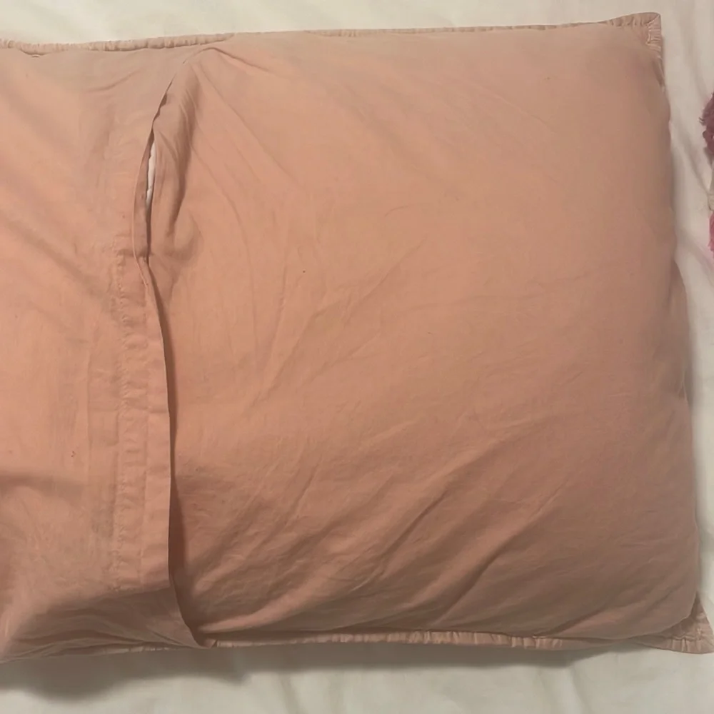 West Elm Baby Pink TENCEL Standard Shams Set